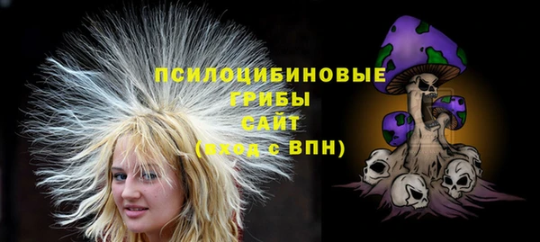 молекула духа Алзамай