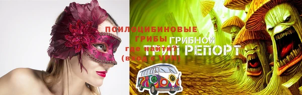 молекула духа Алзамай
